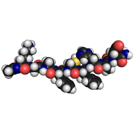 Synzyme